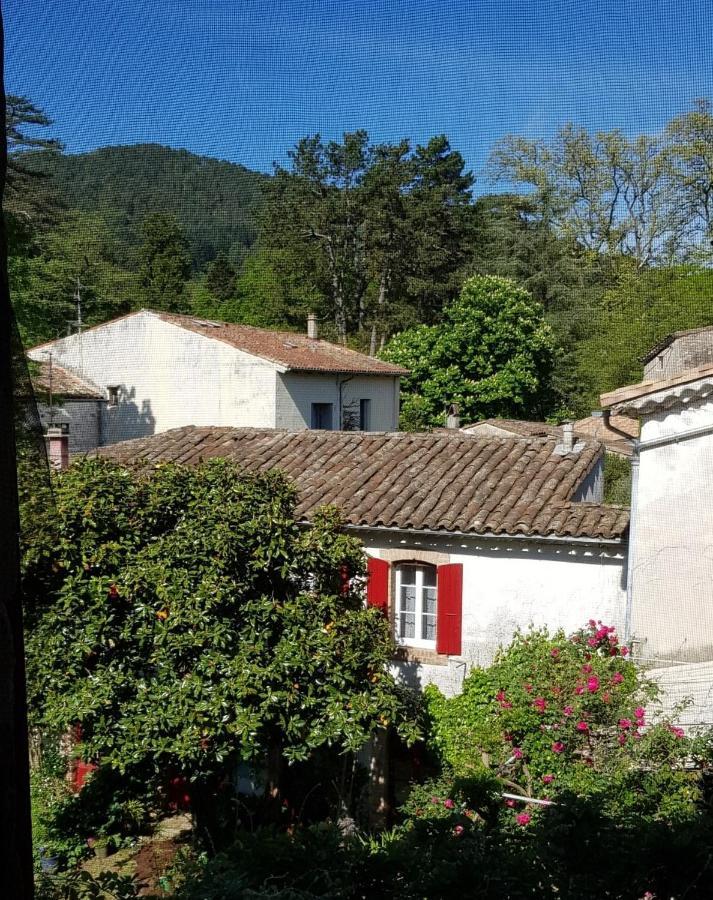 Vista Cevenol: Appartement 2 Chambres Saint-Jean-du-Gard Eksteriør bilde