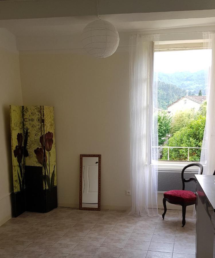 Vista Cevenol: Appartement 2 Chambres Saint-Jean-du-Gard Eksteriør bilde
